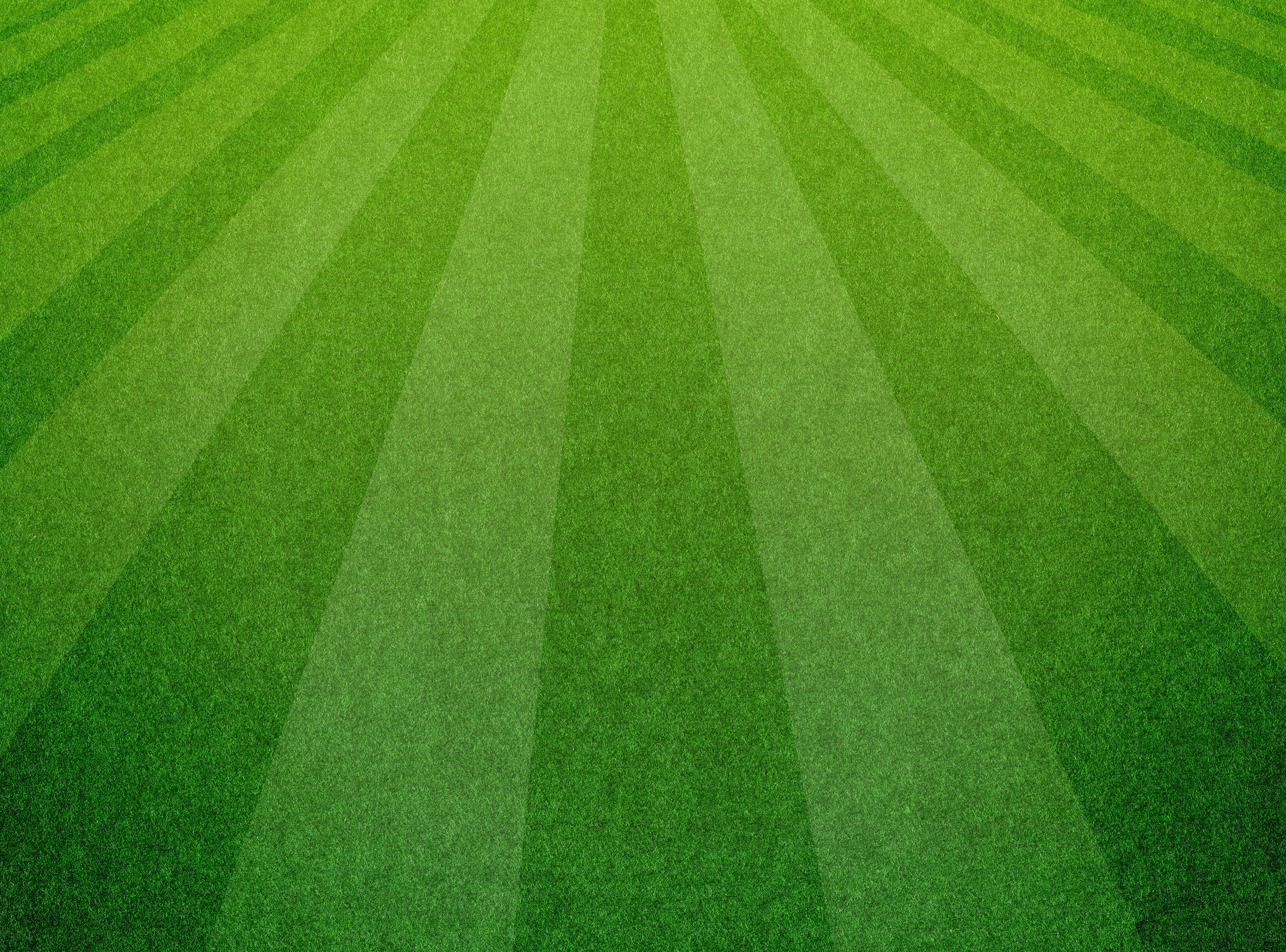 Green grass soccer field background